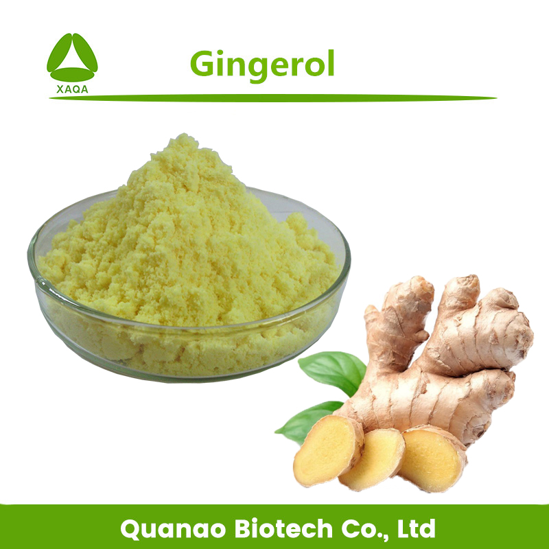 Gingerol natural 5% Extracto de raíz de jengibre en polvo