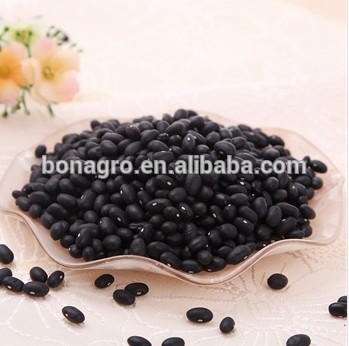 Black bean import opportunities