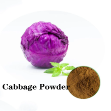 Cabbage Powder Supply Wholesale Good Quality Products