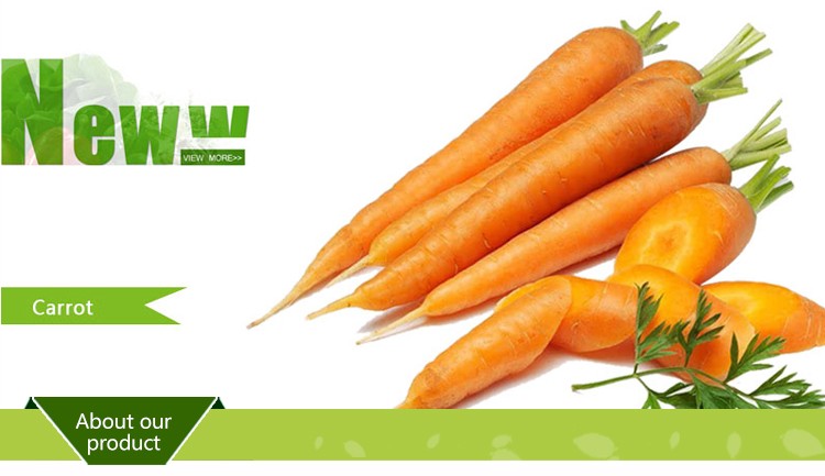 Premium fresh organic carrots