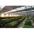 Polycarbonate Blackout Light Deprivation Greenhouse