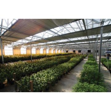 Agricultura Poly Tunnel Light Privation Greenhouse Blackout Greenhouse
