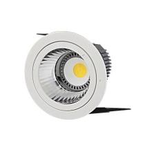 professional COB led downlights