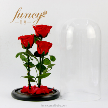 Wholesale Forever Roses: 3 Pcs Glass Dome Preserved Roses from Kunming City