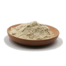 ekologisk mungböna protein bulk