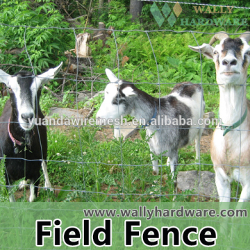 Grassland fence, field fence, cattle fence