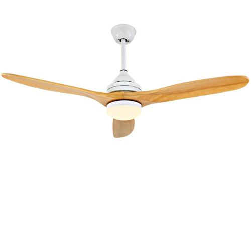 LEDER Electric Modern Lamp Fans