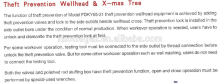 Theft Prevention Wellhead & X-mas Tree