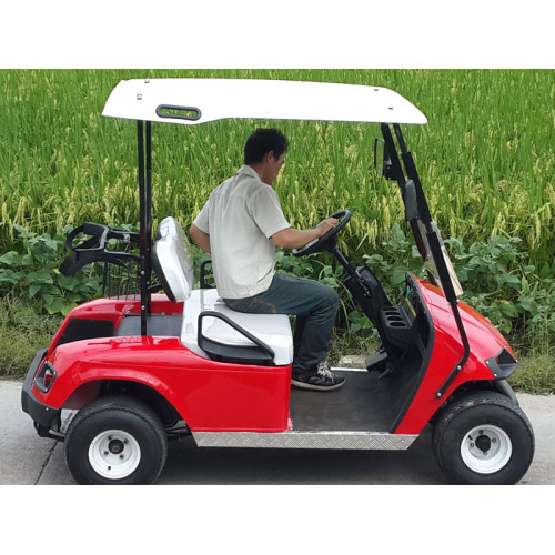 two seats 3000cc gas golf cart for sale