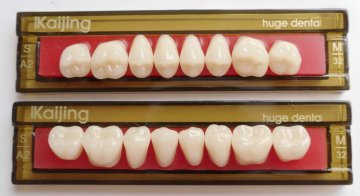 Acrylic teeth KAIJING 32