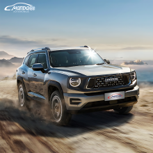 Haval Cool Dog: Compact SUV with Turbo Engine and Leather Seats