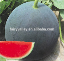 Hybrid seedless watermelon seeds For Growing-Hei Jin