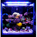 Lâmpada LED Aquário para Iluminação Coral Reef