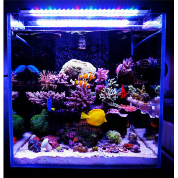 165w aquarium led light for marine fish tank