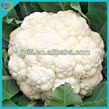 Frozen organic cauliflower IQF