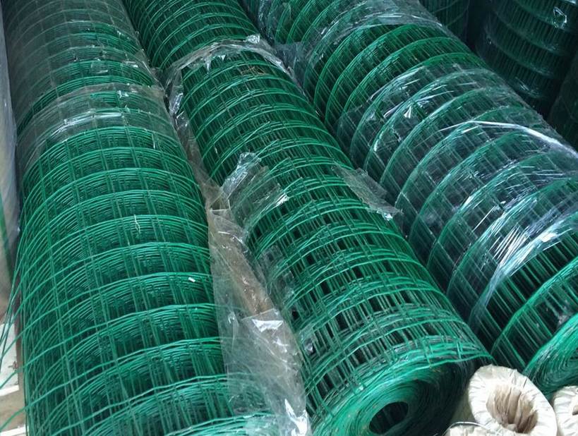 Professional Galvanized Welded Wire Mesh