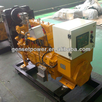 Small Biogas Genset / Natrual Gas Genset /LPG Genset