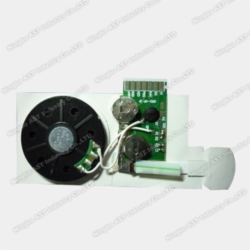 Empty Sound Module Programmable Sound Chip