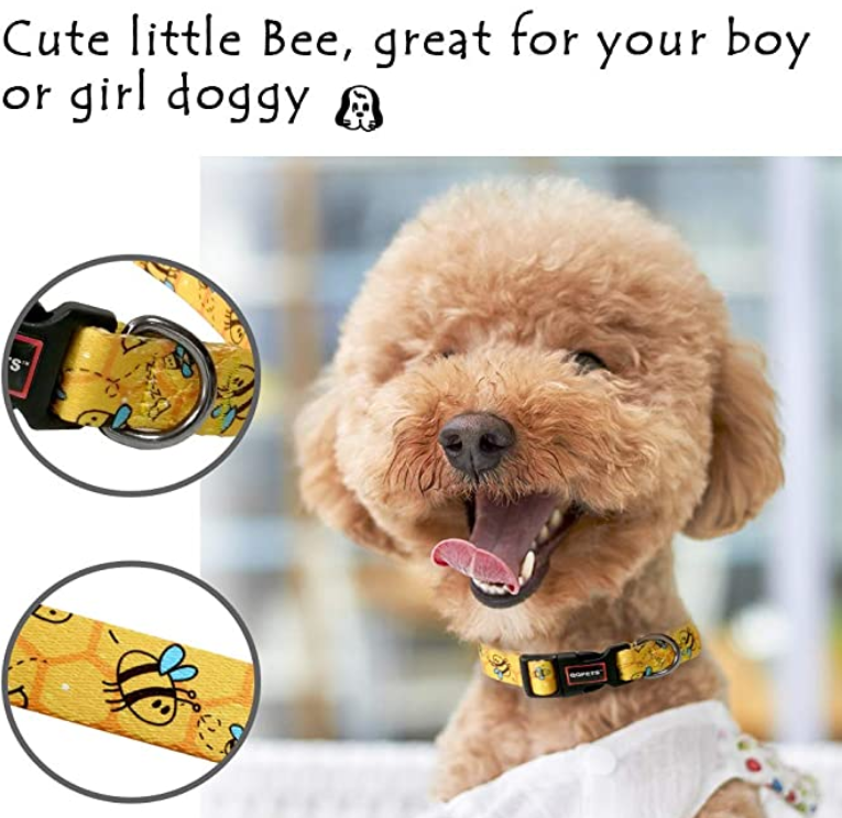 Small Medium Large Dog Collar