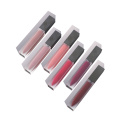 Wholesale Own Brand Cosmetics Custom Multi Color Lipgloss