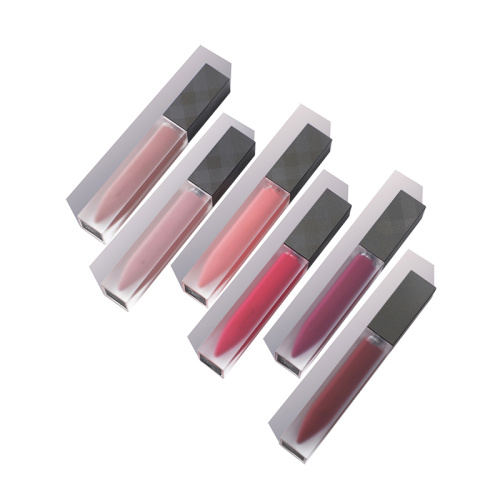 Partihandel egna märkes kosmetika anpassade flerfärgade lipgloss