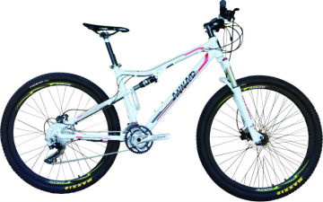 CE/EN15194 hottest ebikes with electric bikes battery lithium