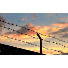 Free Samples Factory Direct Sales barbed wire