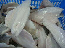frozen saba mackerel fillets
