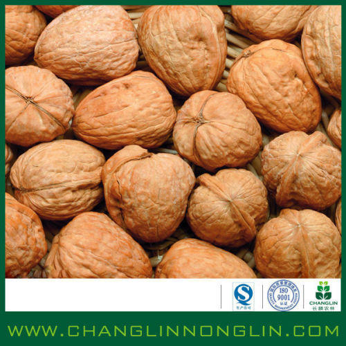 alibaba golden suppier for green organic Rich selenium walnut no harmful for baby