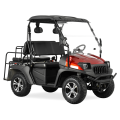 Hot Jeep Style 200cc EFI Carrito de golf