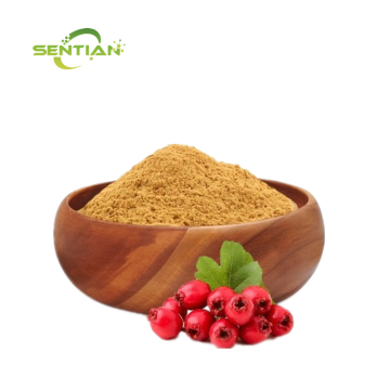 High-quality hawthorn powder and hawthorn extract