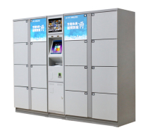 DBS Intelligent Parcel Packstation