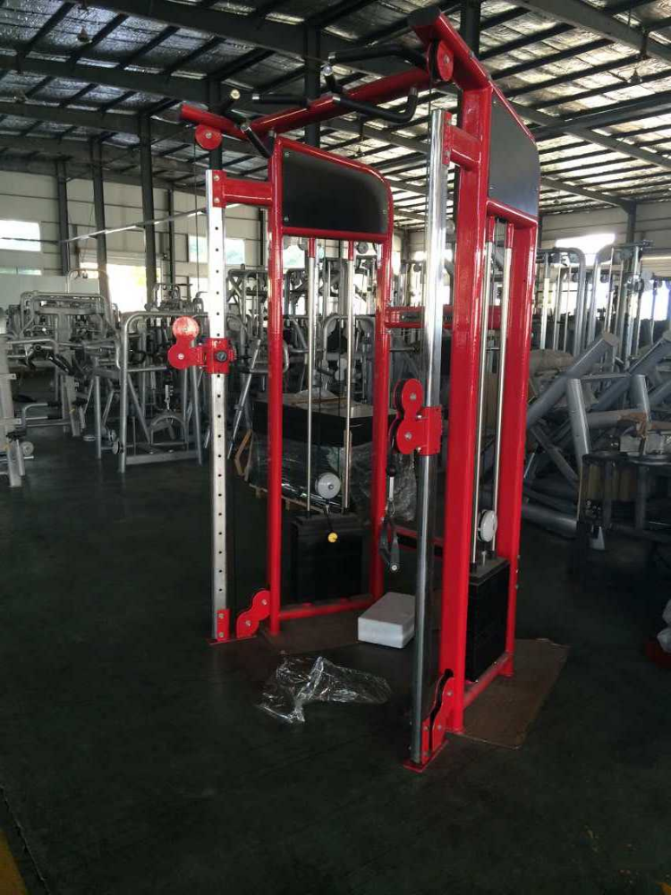 Gym Equipment Synrgy 360/Fitness Equipment