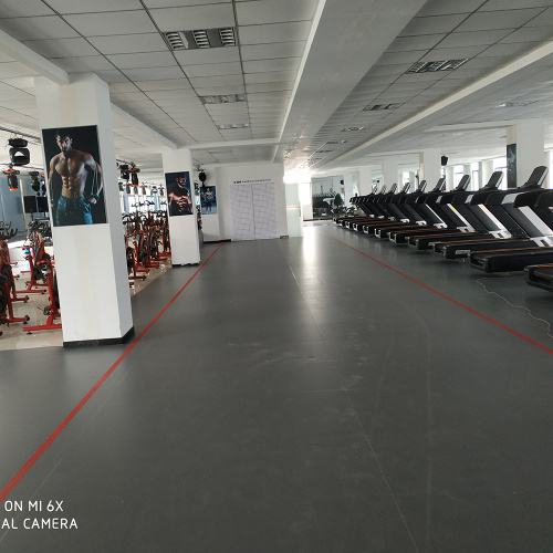 Enlio Customized PVC Flooring for Gym Purpose