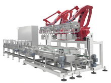 Robotic Carton Packing System