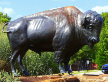 garden outdoor sculptures large animal metal craft life size bison statue