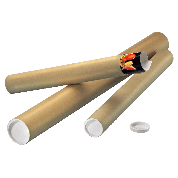 Mailing Tube17 Png