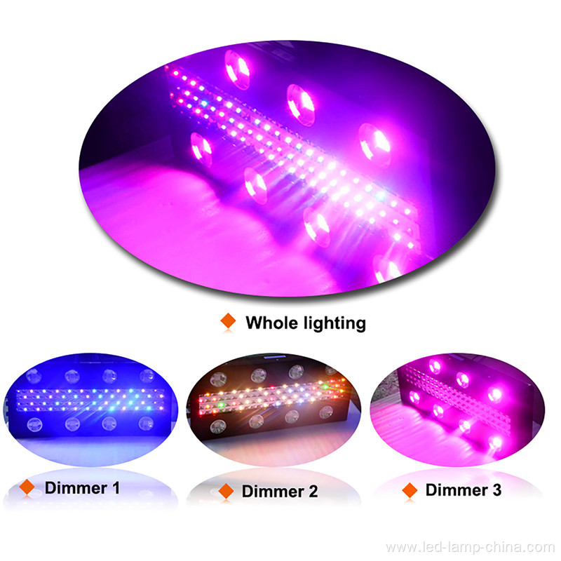 Full Spectrum 1200w Noah8 Panel LED grow light