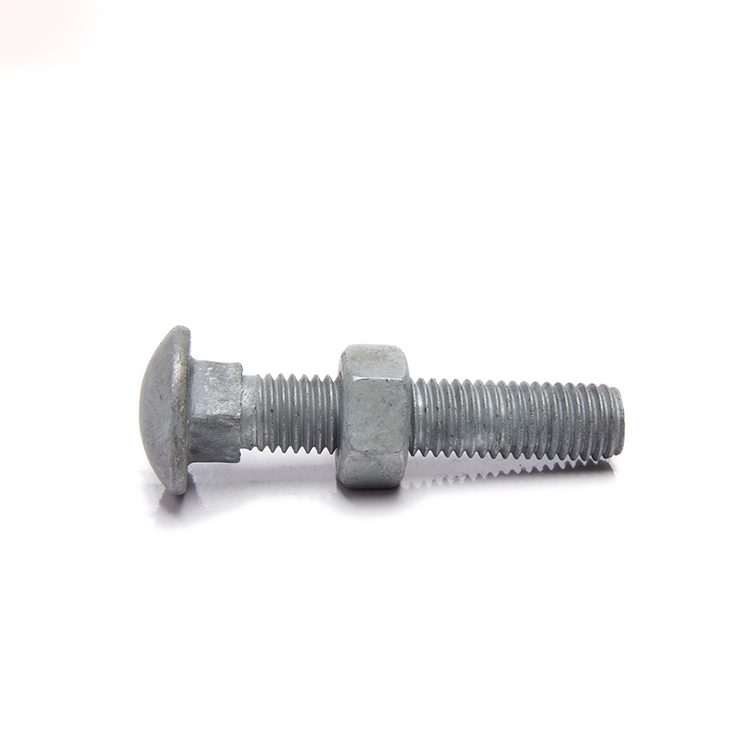 Carbon Steel Hot Dip Carriage Bolts