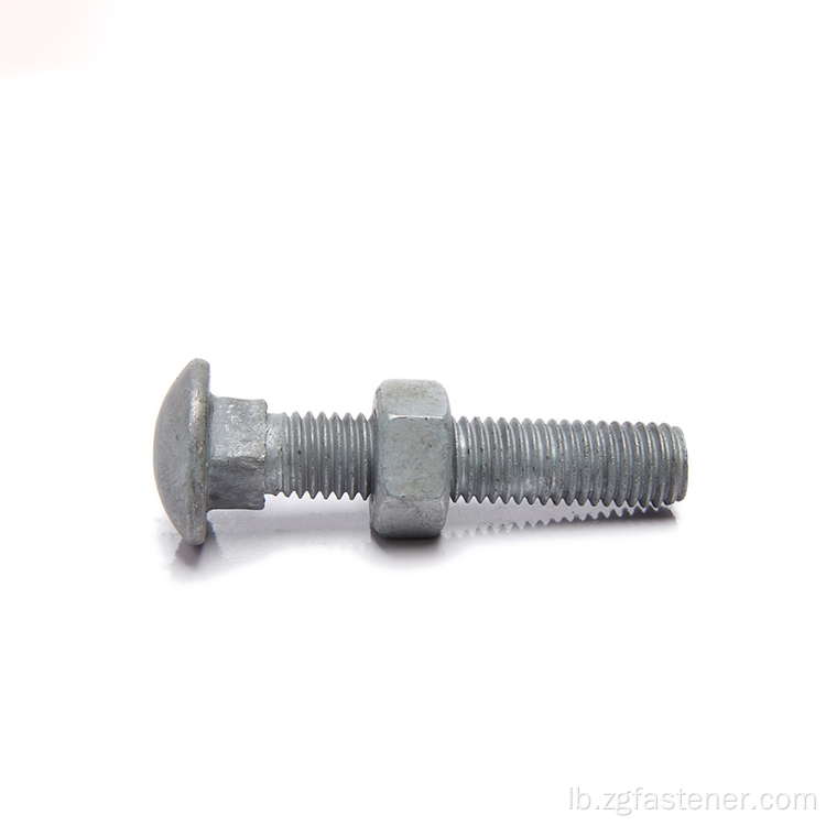 Zoll Stol Round Head Galvanized Carriage Bolt