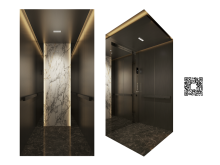 Home Elevator Capsule D