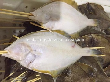 Frozen Stingray Fish Skate Fish