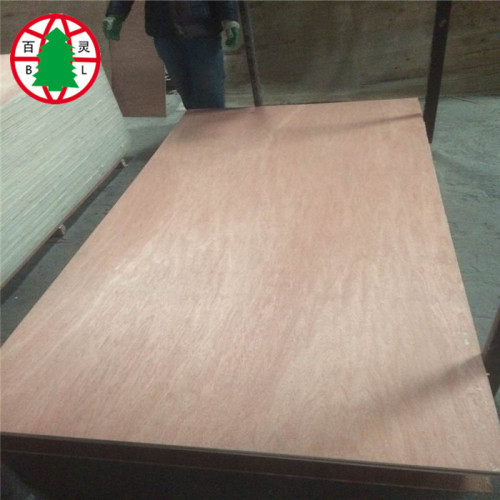 17MM Bintangor BBBB Plywood sheet