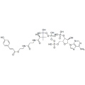 補酵素A、S  -  [（2E）-3-（4-ヒドロキシフェニル）-2-プロペン酸] CAS 119785-99-8