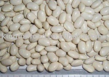 White kidney beans