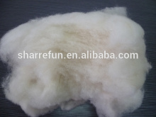 Chinese washed carded sheeps wool wholesale