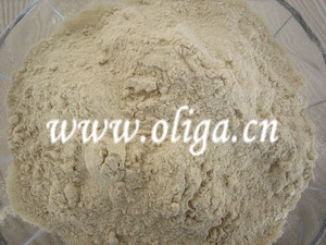 Wheat Gluten for Animal Feed