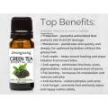 100% Pure Organic alta qualidade Green Tea Oil