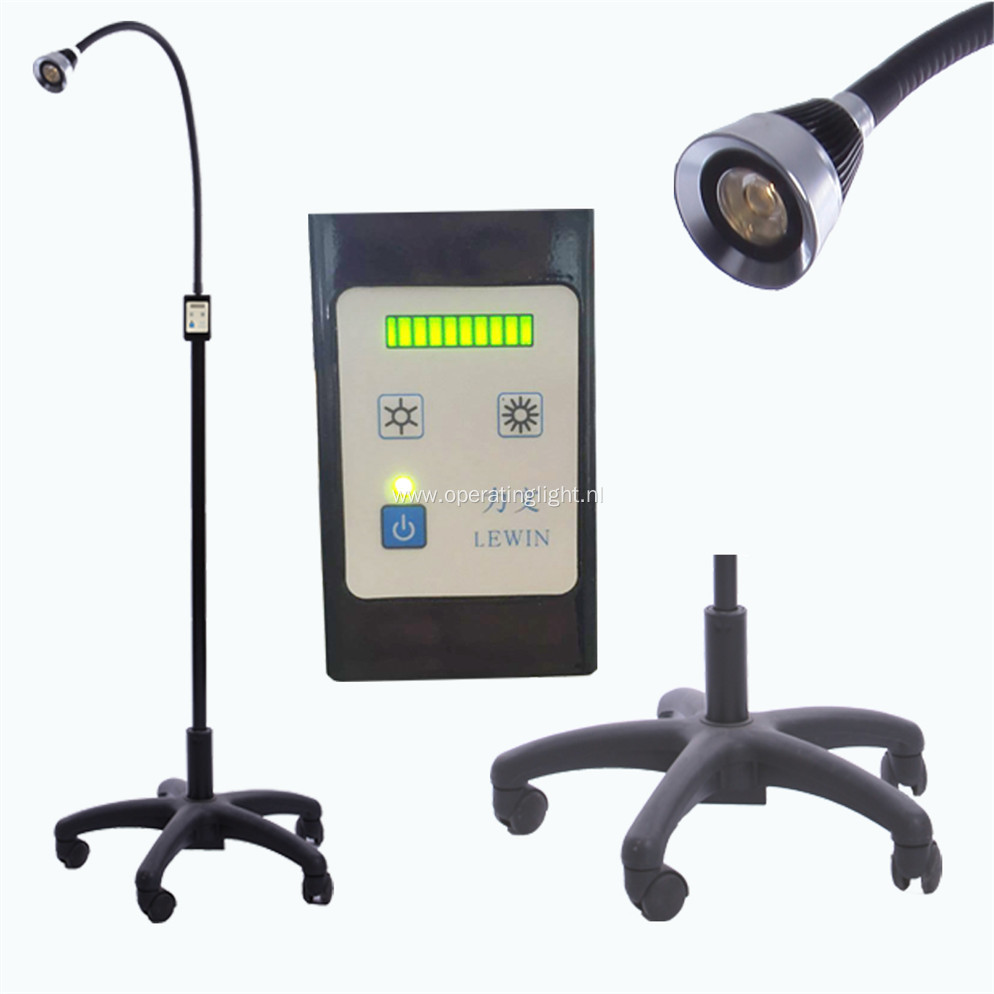 clinic using portable examination light