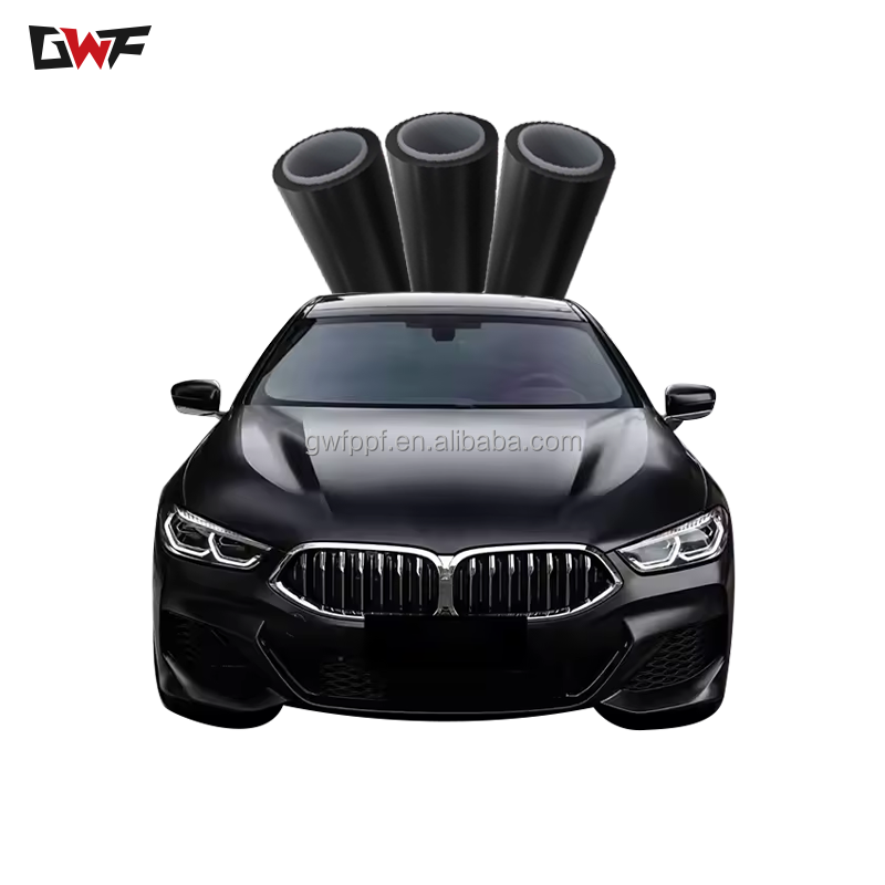 Mejor PPF para autos negros